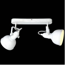 Спот Arte Lamp A5213AP-2WG Martin