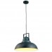 Подвесной светильник Arte Lamp MARTIN A5213SP-1BG Подвесной светильник Arte Lamp MARTIN A5213SP-1BG