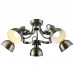 Люстра потолочная Arte Lamp MARTIN A5216PL-5AB