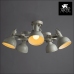 Люстра потолочная Arte Lamp MARTIN A5216PL-5WG