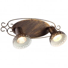 Спот Arte Lamp A5219AP-2BR FOCUS