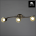 Спот Arte Lamp FOCUS A5219PL-3BR