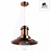 Подвесной светильник Arte Lamp FISHERMAN A5530SP-1RB