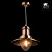 Подвесной светильник Arte Lamp FISHERMAN A5530SP-1RB