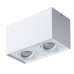 Светильник накладной Arte Lamp FACTOR A5544PL-2WH