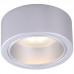 Светильник потолочный накладной Arte Lamp EFFETTO A5553PL-1GY