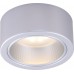 Светильник потолочный накладной Arte Lamp EFFETTO A5553PL-1GY