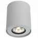 Светильник потолочный Arte Lamp FALCON A5633PL-1WH