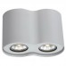 Светильник потолочный Arte Lamp FALCON A5633PL-2WH