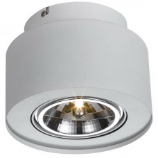 Точечный светильник Arte Lamp A5643PL-1WH CLIFF