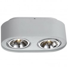 Точечный светильник Arte Lamp A5643PL-2WH CLIFF