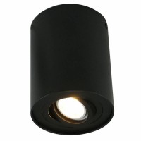 Светильник накладной Arte Lamp Falcon A5644PL-1BK