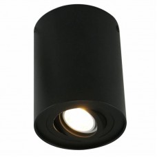 Светильник накладной Arte Lamp Falcon A5644PL-1BK