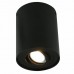 Светильник накладной Arte Lamp Falcon A5644PL-1BK