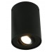 Светильник накладной Arte Lamp Falcon A5644PL-1BK