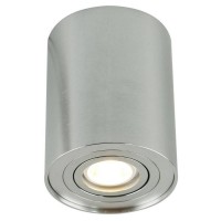 Светильник накладной Arte Lamp Falcon A5644PL-1SI