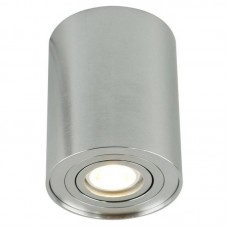 Светильник накладной Arte Lamp Falcon A5644PL-1SI