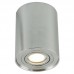 Светильник накладной Arte Lamp Falcon A5644PL-1SI