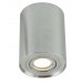 Светильник накладной Arte Lamp Falcon A5644PL-1SI