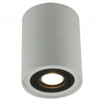 Светильник накладной Arte Lamp Falcon A5644PL-1WH