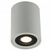 Светильник накладной Arte Lamp Falcon A5644PL-1WH Светильник накладной Arte Lamp Falcon A5644PL-1WH