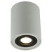 Светильник накладной Arte Lamp Falcon A5644PL-1WH Светильник накладной Arte Lamp Falcon A5644PL-1WH