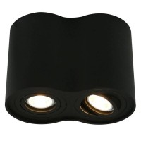 Светильник накладной Arte Lamp Falcon A5644PL-2BK