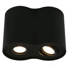 Светильник накладной Arte Lamp Falcon A5644PL-2BK