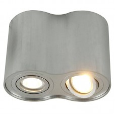 Светильник накладной Arte Lamp Falcon A5644PL-2SI