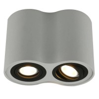 Светильник накладной Arte Lamp Falcon A5644PL-2WH