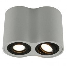 Светильник накладной Arte Lamp Falcon A5644PL-2WH