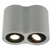 Светильник накладной Arte Lamp Falcon A5644PL-2WH