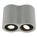 Светильник накладной Arte Lamp Falcon A5644PL-2WH
