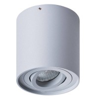 Светильник накладной Arte Lamp FALCON A5645PL-1GY