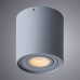 Светильник накладной Arte Lamp FALCON A5645PL-1GY