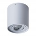 Светильник накладной Arte Lamp FALCON A5645PL-1GY