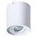 Светильник накладной Arte Lamp FALCON A5645PL-1WH