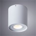 Светильник накладной Arte Lamp FALCON A5645PL-1WH