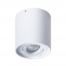 Светильник накладной Arte Lamp FALCON A5645PL-1WH