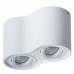 Светильник накладной Arte Lamp FALCON A5645PL-2WH