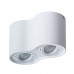 Светильник накладной Arte Lamp FALCON A5645PL-2WH