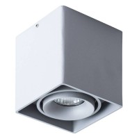 Светильник накладной Arte Lamp PICTOR A5654PL-1GY
