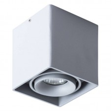 Светильник накладной Arte Lamp PICTOR A5654PL-1GY