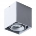Светильник накладной Arte Lamp PICTOR A5654PL-1GY