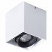 Светильник накладной Arte Lamp PICTOR A5654PL-1WH