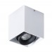 Светильник накладной Arte Lamp PICTOR A5654PL-1WH