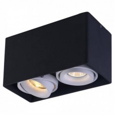 Светильник накладной Arte Lamp PICTOR A5654PL-2BK