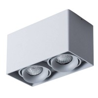 Светильник накладной Arte Lamp PICTOR A5654PL-2GY