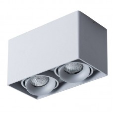 Светильник накладной Arte Lamp PICTOR A5654PL-2GY