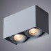 Светильник накладной Arte Lamp PICTOR A5654PL-2GY Светильник накладной Arte Lamp PICTOR A5654PL-2GY